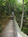 Fundy Provincial Park a hike along a cascade