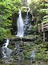 Fundy Provincial Park lookout at the waterfall