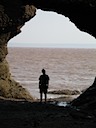 Hopewell rocks at low tide